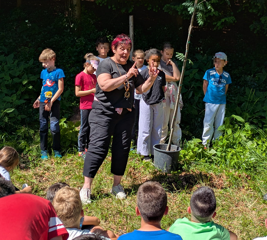 Maestra insegna ai bambini nel bosco